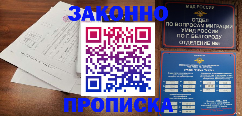 прописка в Мамадыше